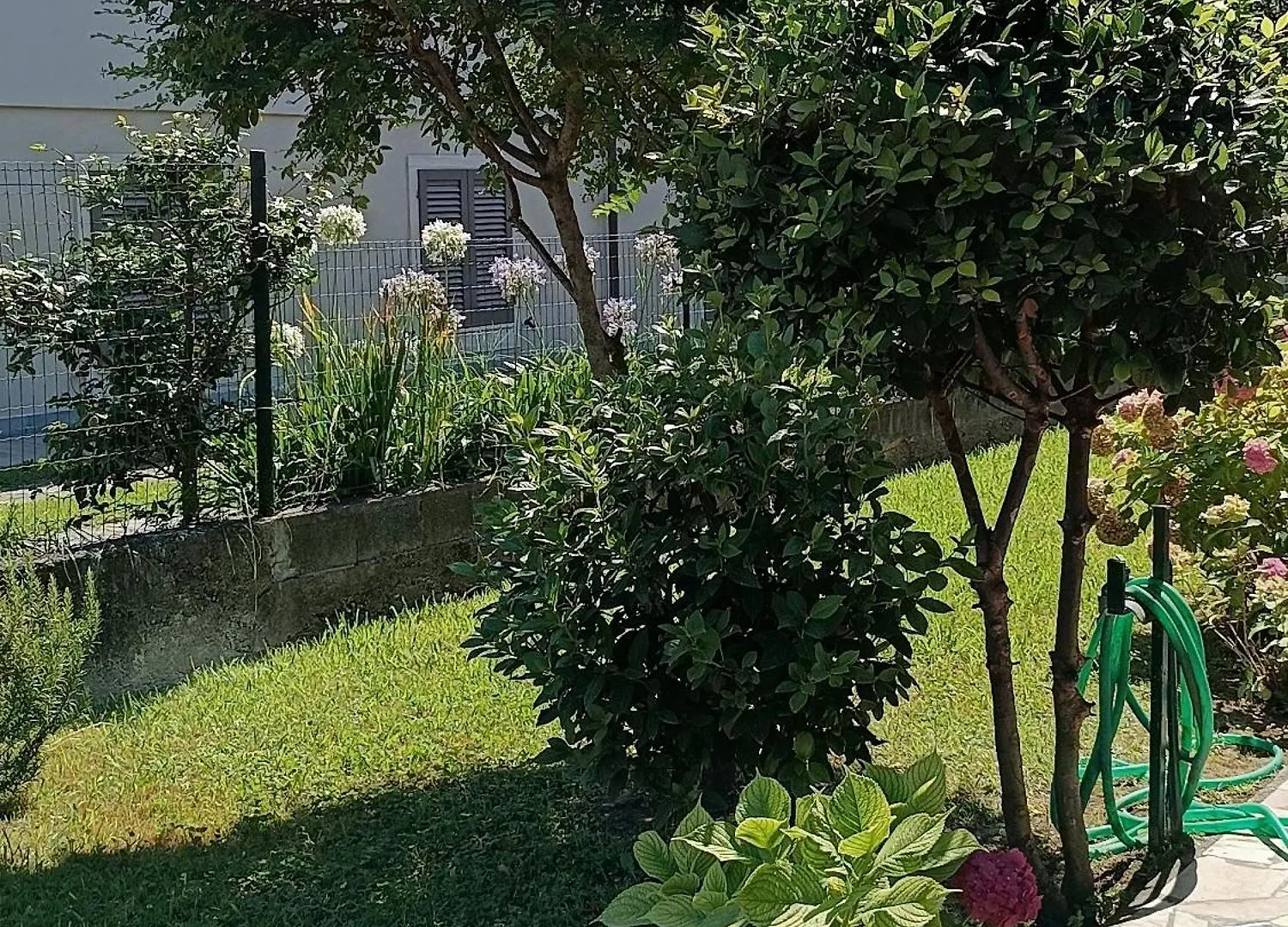 Il Nido Villa Marina di Massa